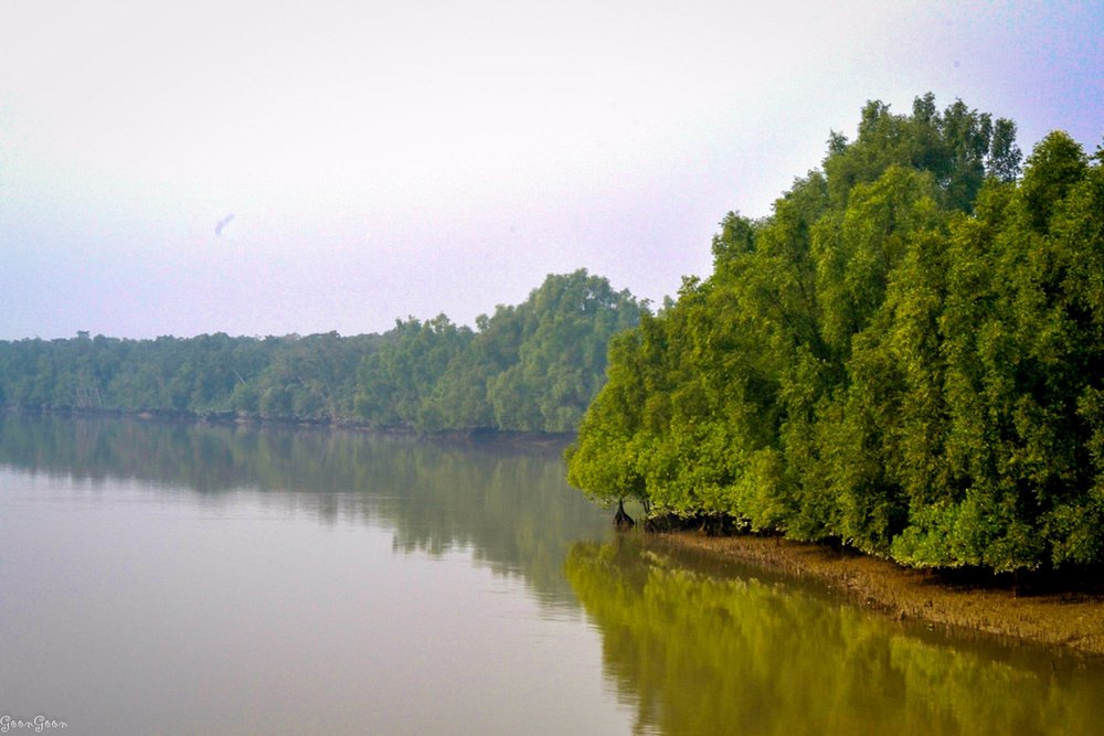 Sun Way 2: Premium River Cruise from Khulna to Sundarbans