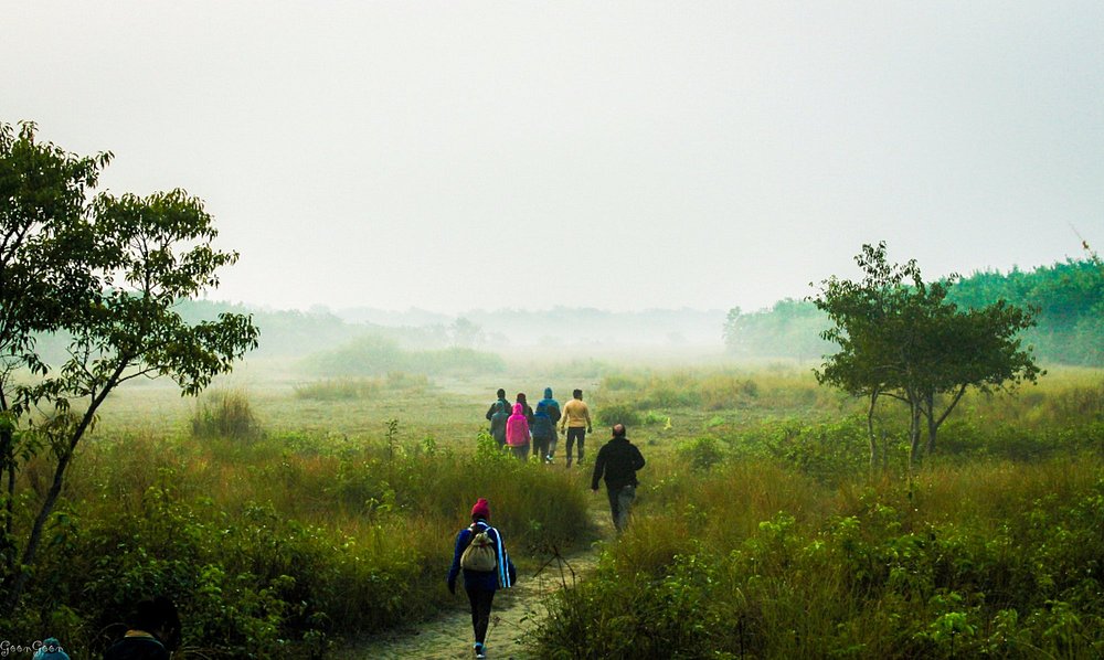 Luxury Cruise Ships in Sundarbans