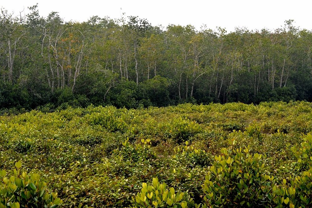 Explore Wildlife & Scenic Locations